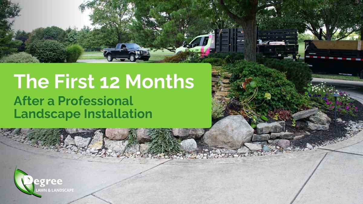 The First 12 Months After a Professional Landscape Installation